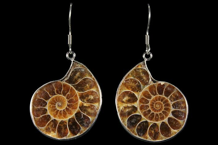 Fossil Ammonite Earrings #112230
